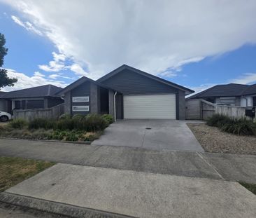 Dive into Dunkeld - Papamoa - Photo 2