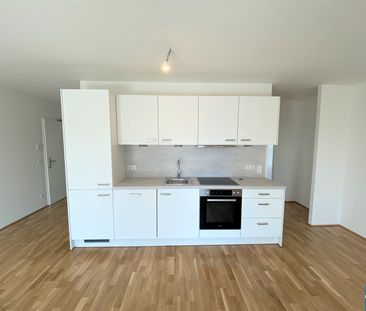 Moderne 3 Zimmergartenwohnung nahe Trillerpark - Photo 3
