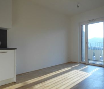 Q5 am PARK schöner Ausblick, sonnige 2ZI mit 9m² West/ Balkon - Photo 2