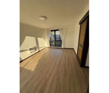 Fully Renovated 2-Bedroom Unit - Photo 4