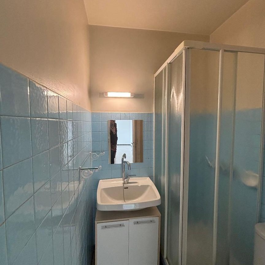 Appartement à louer, 2 pièces - Romans-sur-Isère 26100 - Photo 1