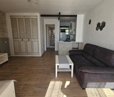 Location Appartement 1 pièce 30m² ST LAURENT DU VAR 06700 - Photo 3