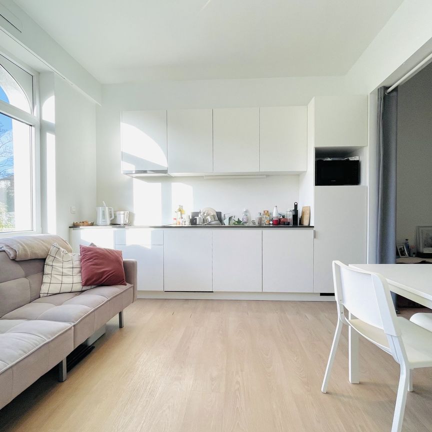 Prachtig gerenoveerd instapklaar en lichtrijke studio nabij Miljoenkwartier/UZ Gent/Sterre - Photo 1