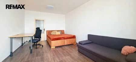 Pronájem prostorného bytu s výhledem; 1+1, 47 m - Fotografie 4