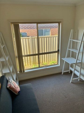 Brown Hill - Photo 5