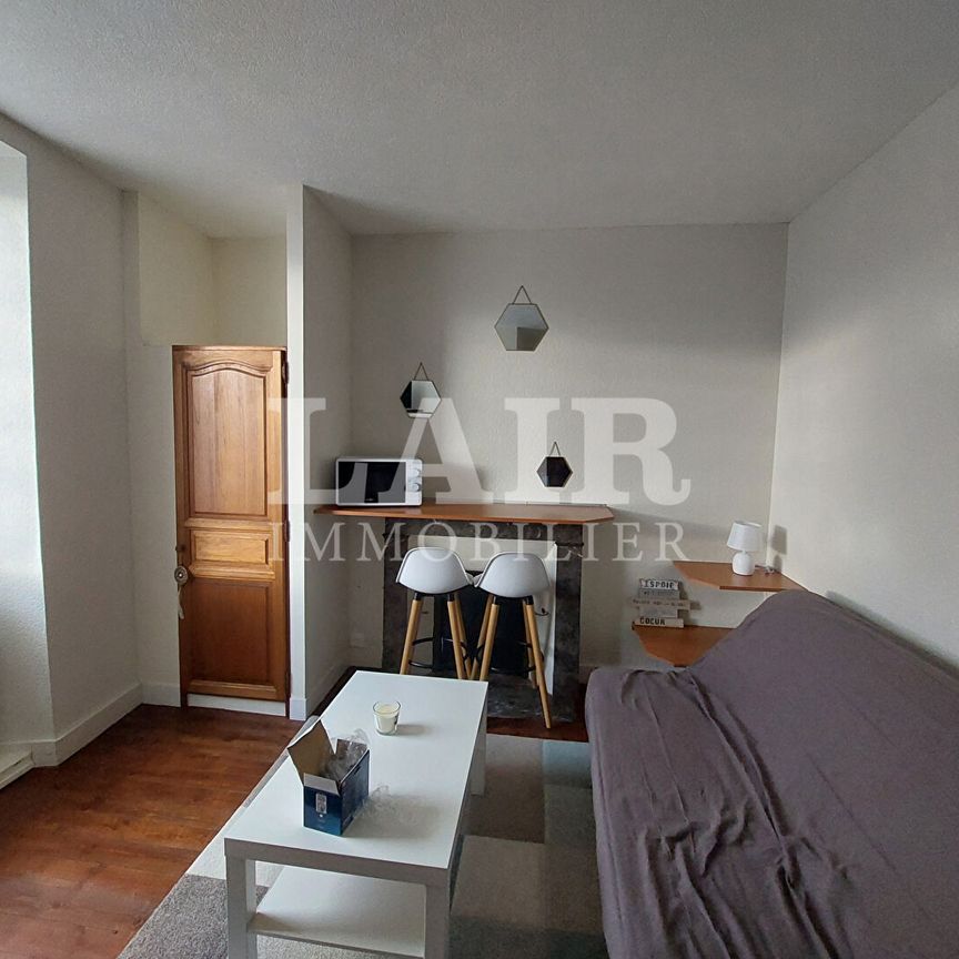 Appartement Saint Paterne Le Chevain 1 pièce(s) réf : 14722 - Photo 1