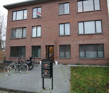 Bergbeemden 109 BB3, 2300 Turnhout - Foto 4