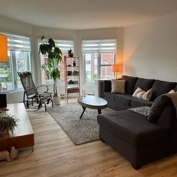 4½ + espace bureau avec fenêtre , 1 265,00 $ - COUR ARRIÈRE PRIVÉE et AMÉNAGÉE, entrée indépendante - Photo 3