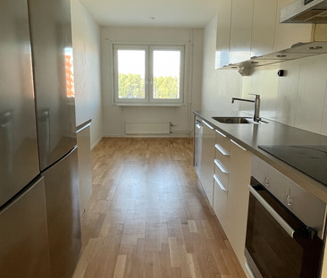 Tallvägen, Sundsvall - Photo 1