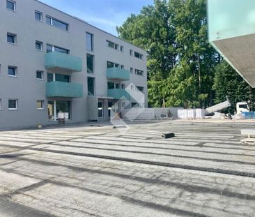 3.5 pièces NEUF avec jardin privatif ! - Foto 1