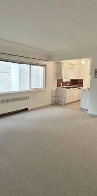 Bright and Spacious Studio for Rent in the West End - Photo 1