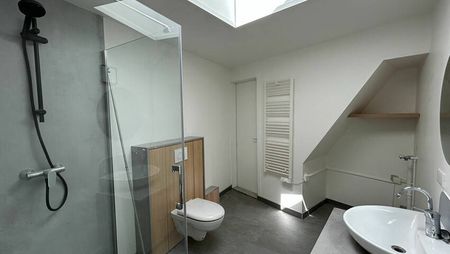 A LOUER - 2 PIECES REFAIT A NEUF - ROBERTSAU - STRASBOURG - Photo 5