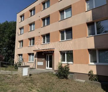 Pronájem bytu 1+1 se sklepní kójí a možností užívání zahrady u domu - Photo 3