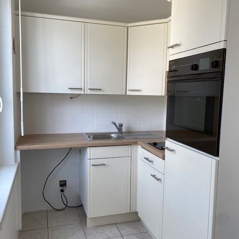 Location Appartement 33.3 M² HUNINGUE 550 € - Photo 1