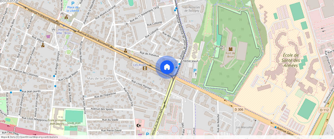 ** Avenue Franklin Roosevelt, Bron, France