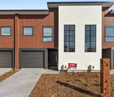 Suburban Sophistication - Photo 5