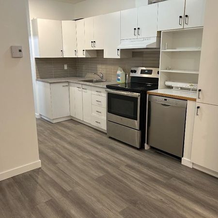 Magnifique 3½ rénové – Rez-de-chaussée avec cour | 5430 Cartier, Plateau-Mont-Royal - Photo 4