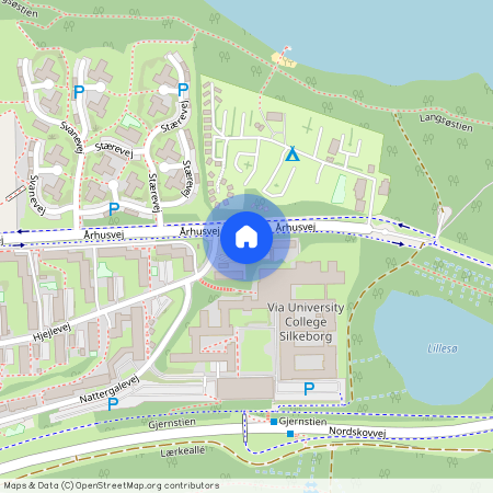 Hjejlevej 50, Silkeborg