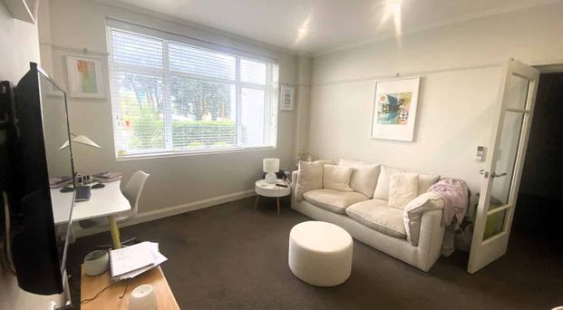 Gem on Oriental! - Photo 1