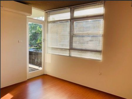 Immaculate One-Bedroom Apartment in the Heart of Ashfield - Photo 4