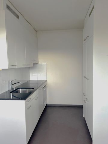 "Neues Zuhause gesucht?" - Foto 4