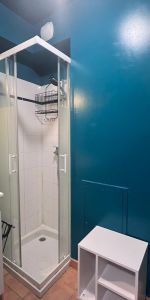 Location Appartement 1 pièce 16m² AVIGNON 84000 - Photo 4