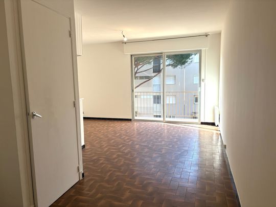 Location Appartement 1 pièce 30m² LE LAVANDOU 83980 - Photo 1