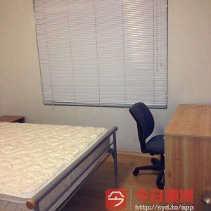 Strathfield - Photo 2