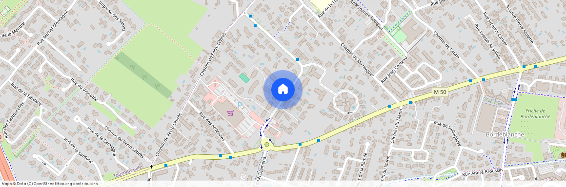 5 allée du Dr Lejzer Zamenhof, 31100, Toulouse