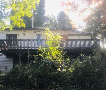 Charming Cottage Centrally Located In Hazelbrook! - Photo 3