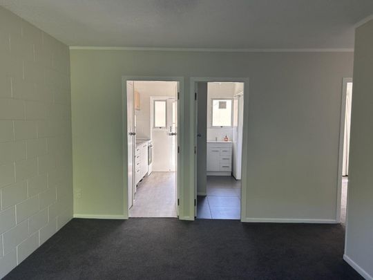 Renovated & Ready to Rent - Photo 1