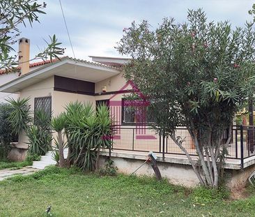 Μονοκατοικία για ενοικίαση Άγιος Παντελεήμονας (Μαραθώνας) - Photo 1