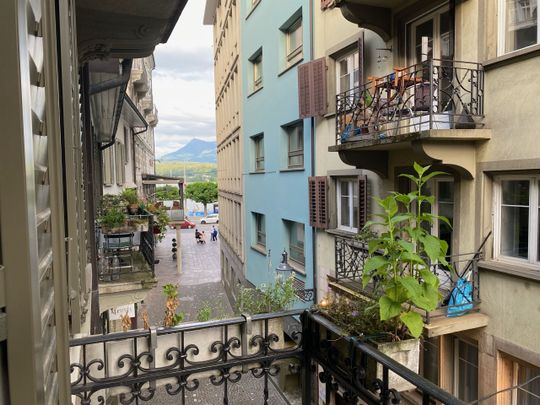 TEMPORARY until January 2027 – 2-room apartment at Schwanenplatz - Photo 1