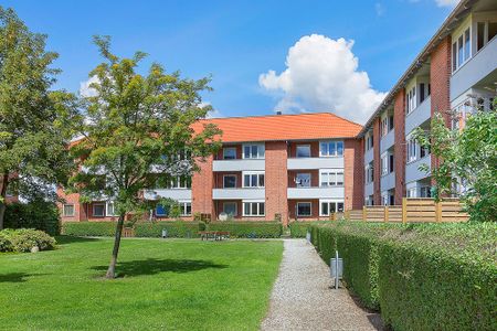 Afd. 12 Kodammen 2 - Photo 5