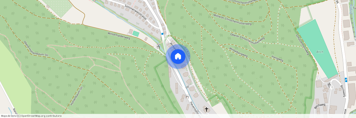 Wirbelwies - 16 1-16, 8200, Schaffhausen