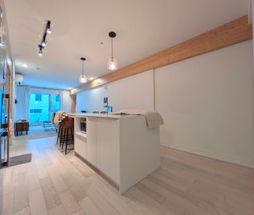 Rue Eleanor, H3C 0T5, Montréal - Photo 6