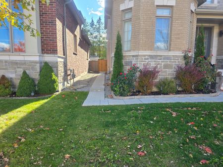 For Lease - 585 McGregor Farm Trail Unit# Bsmt, Newmarket, Ontario - Photo 4