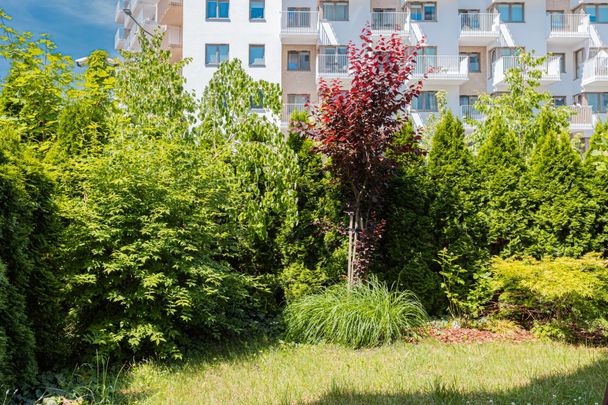 75 m2 | 3 pokoje | Mokotów - Photo 1