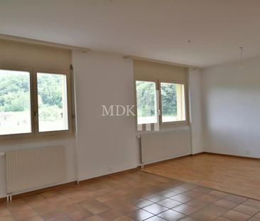 1.5 Zimmer, EG - Photo 4