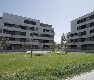 2.5 Zimmer, 47 m², 2. Stock - Photo 2