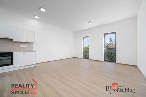 Pronájem bytu 1+kk 50 m² - Photo 1
