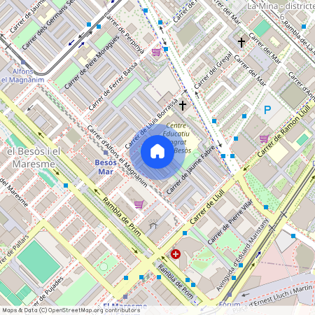 Carrer dAlbània, Barcelona, Catalonia 08019