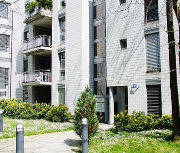 2 ½ Zimmer-Wohnung in Zürich mieten - Foto 1