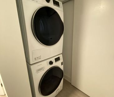 172 Times Road #Basement - Photo 1