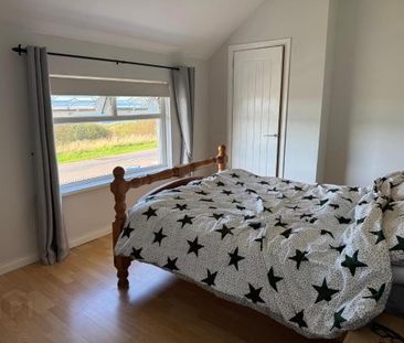 6 Derrymore Road, Gawleys Gate, Craigavon, BT67 0BW - Photo 3