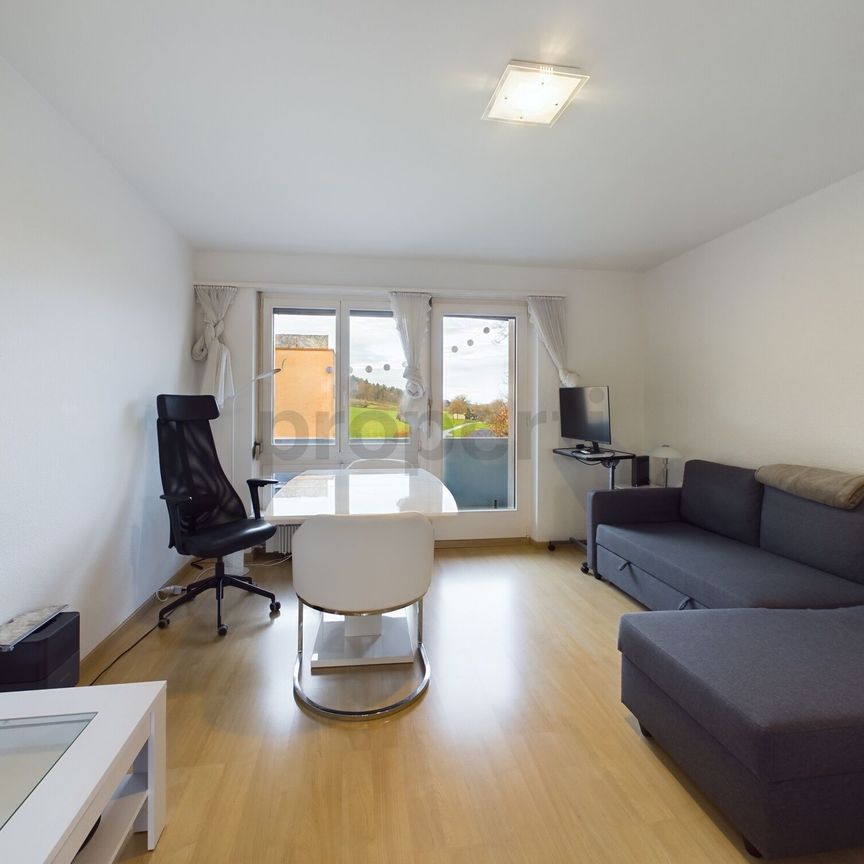 Furnished 1.5 room apartment with charm and comfort in Dällikon, Canton ZH - Photo 1