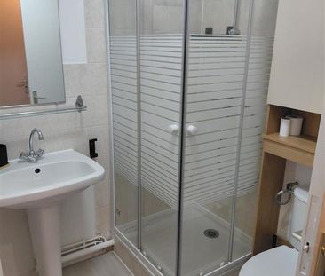 Location Appartement 1 pièce Meublé 18m² ANGERS 49000 - Photo 6