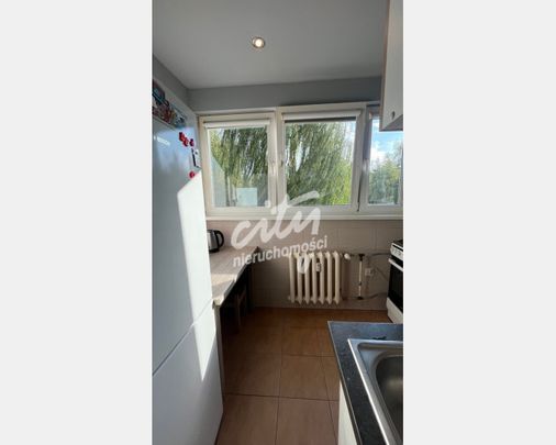 Szczecin - Фото 1