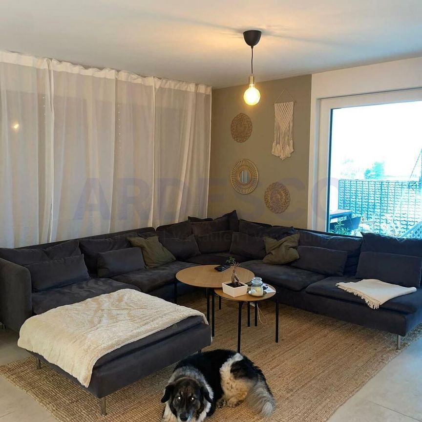 3.5 Zimmer, 97 m², EG - Foto 1