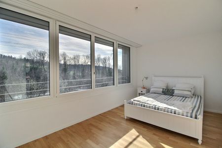 Magnifique duplex de 3.5 pièces à louer - Photo 2